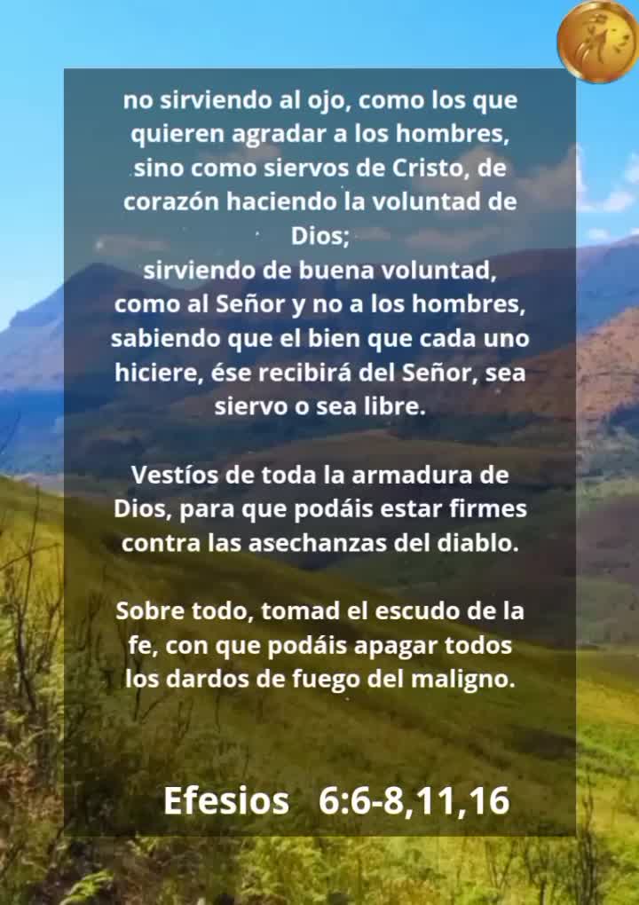 @Vicayquipa