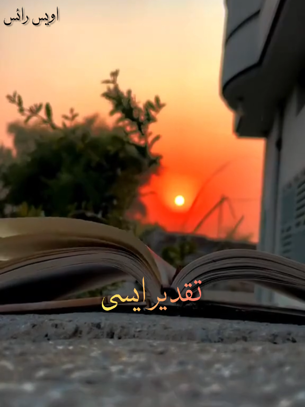 @TikTok actar awais