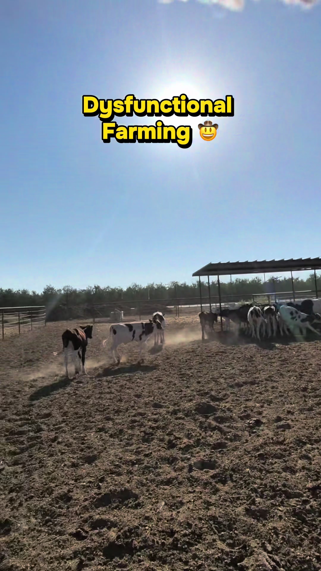 @Skylar Farming