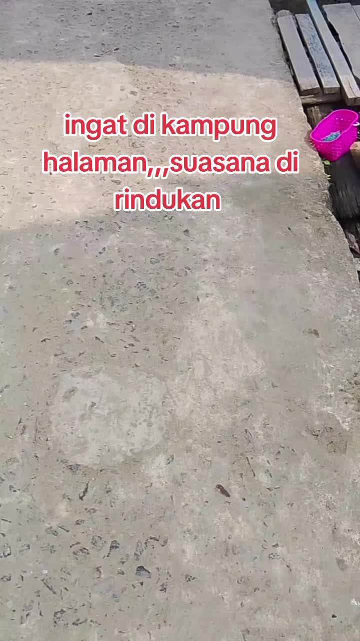 @Dedi Irawan