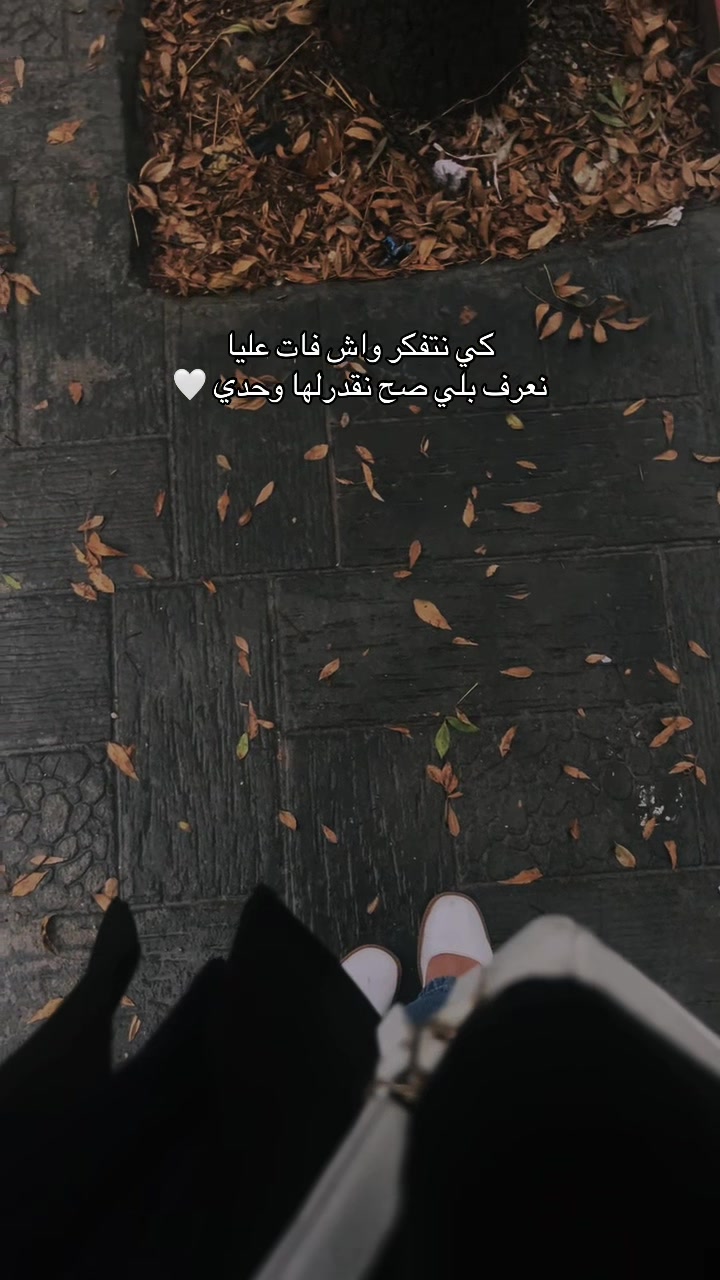 @safaeeee.mzi