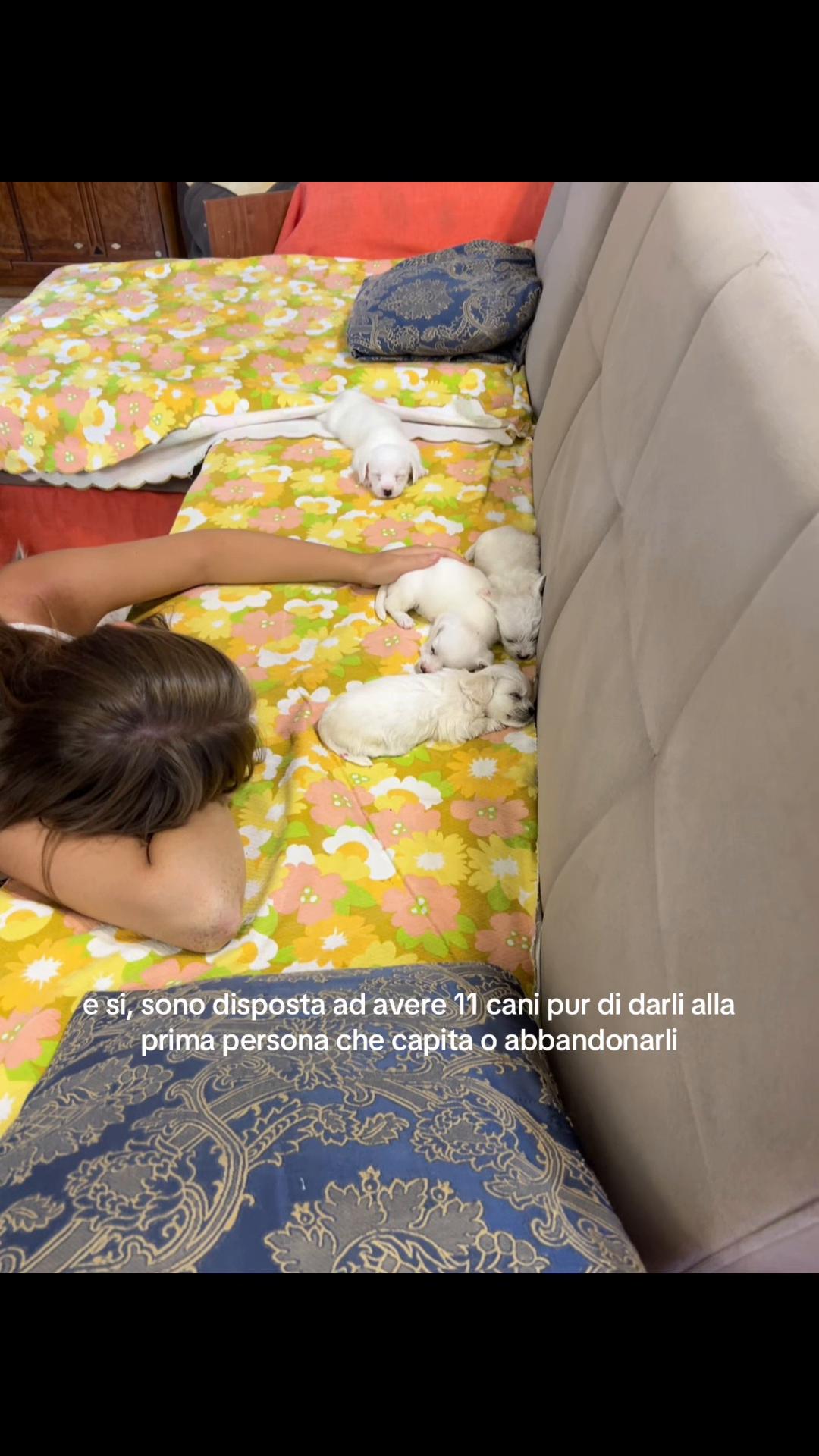 @saeli_27