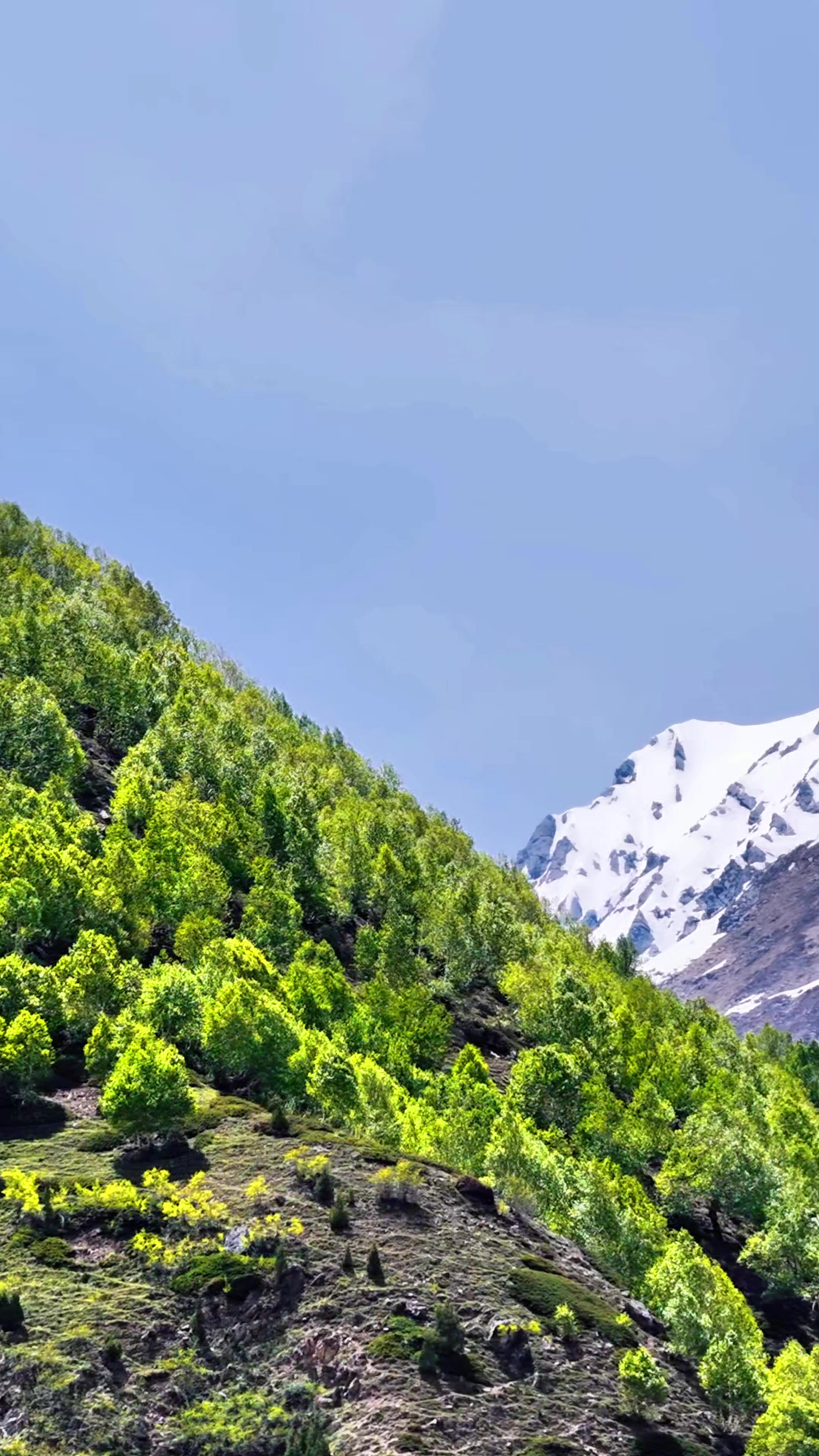 @hello_skardu☑️