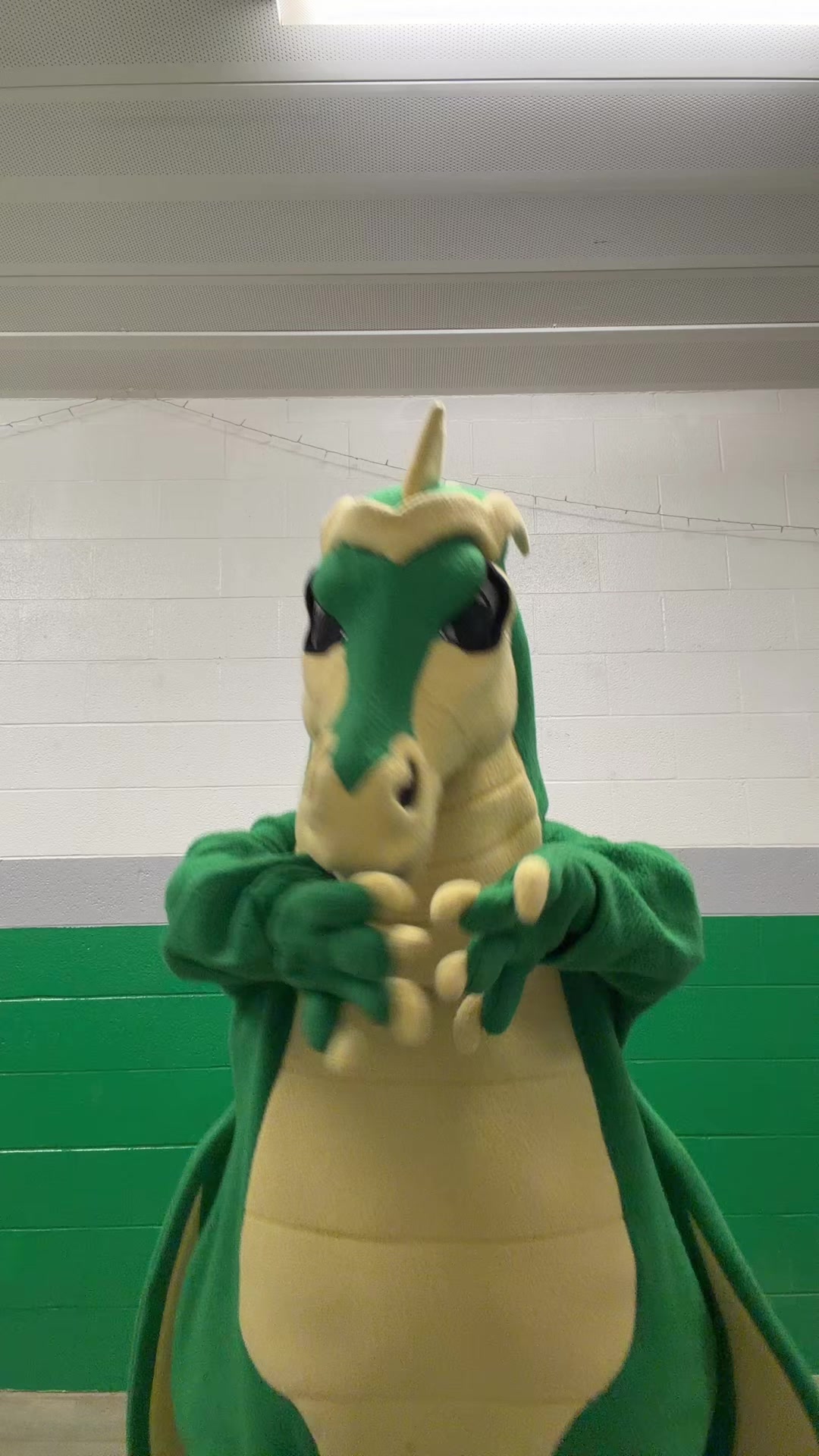 @SGHS mascot