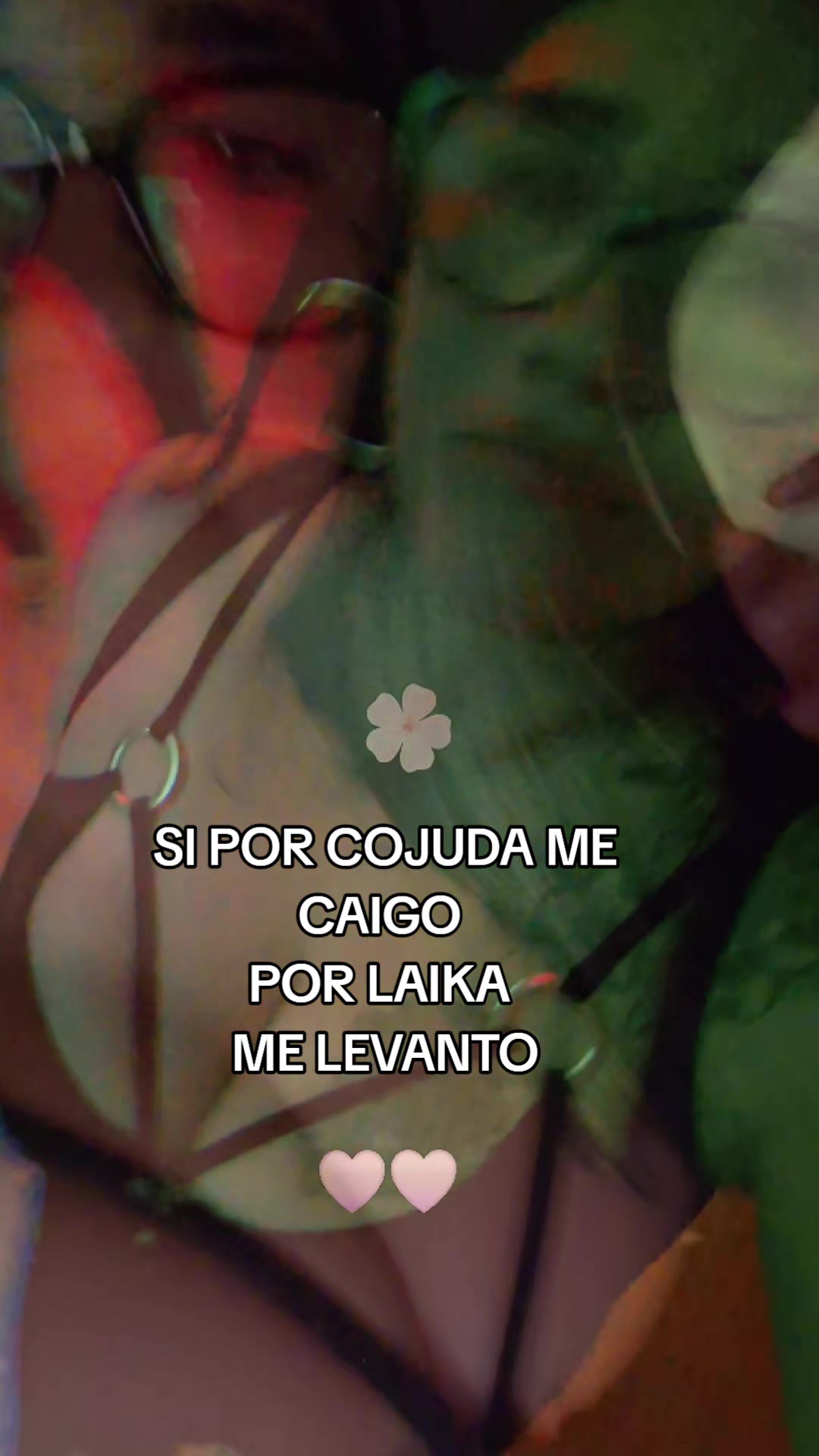 @nayke