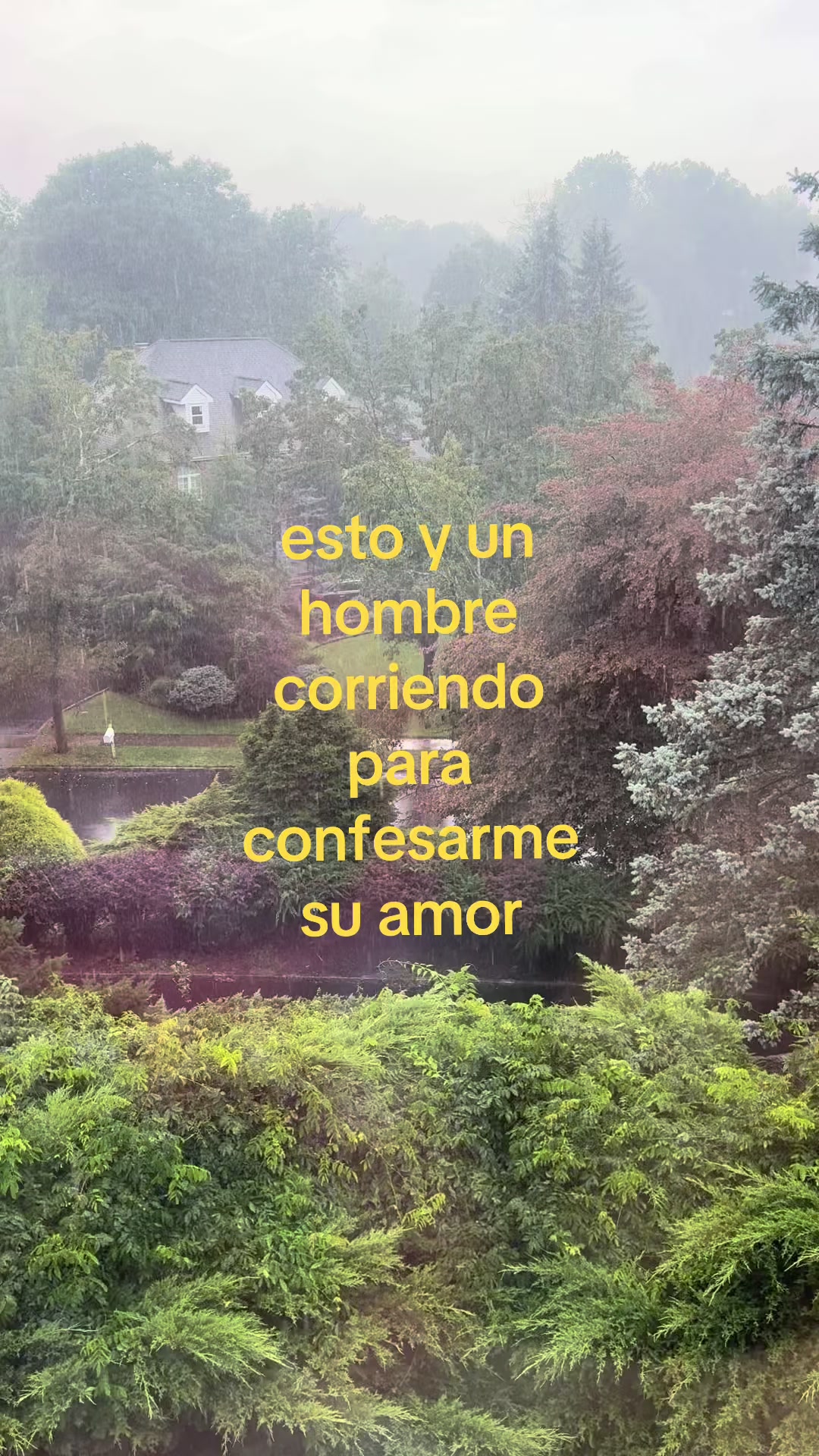 @dodi