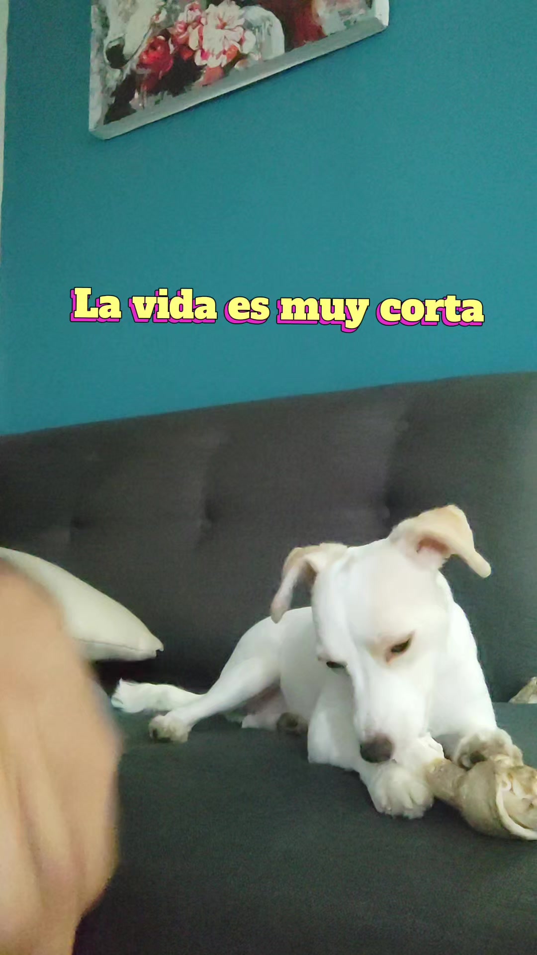 @Victor Hugo Gonzalez