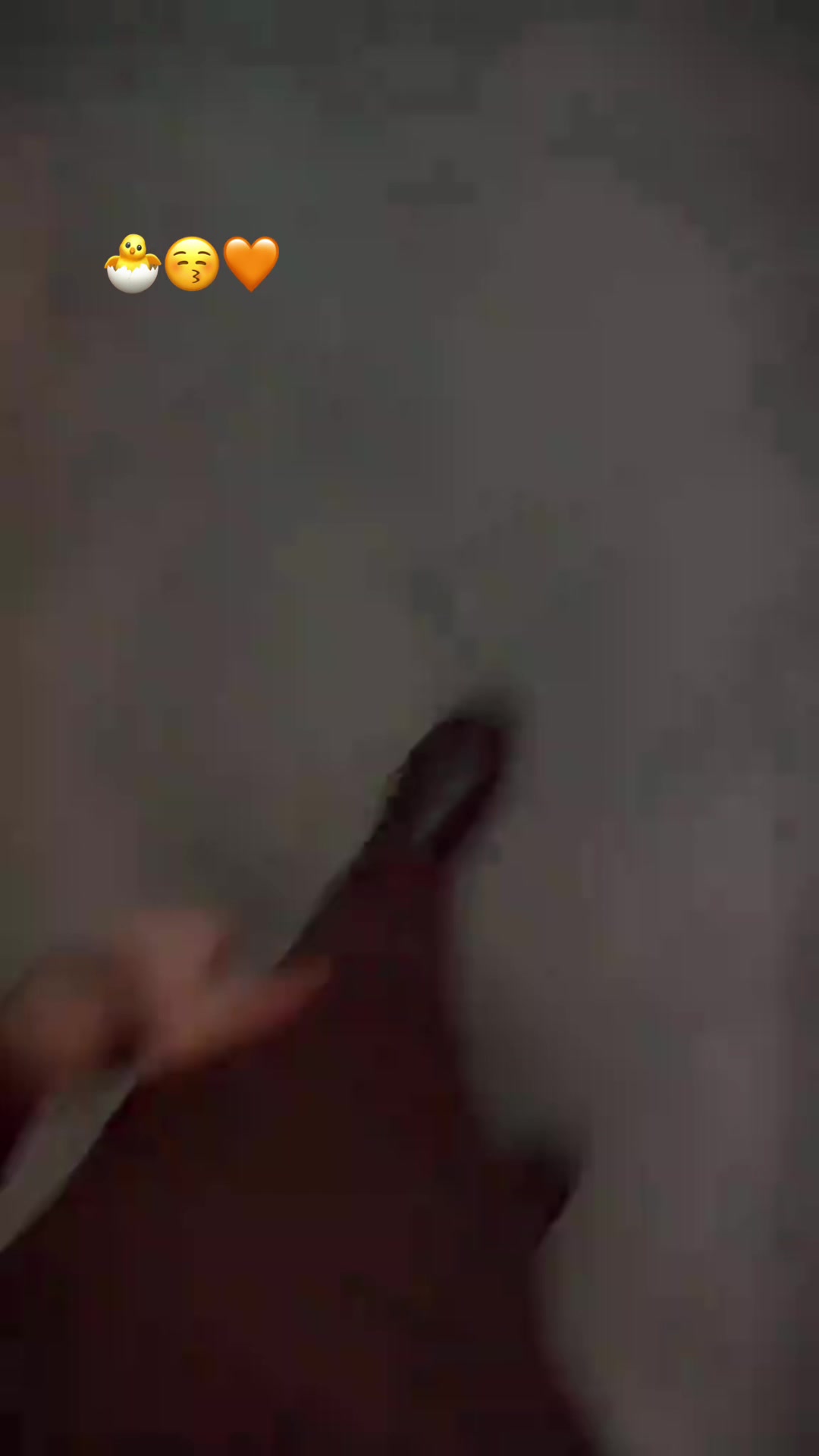 @๐๐๏ธ