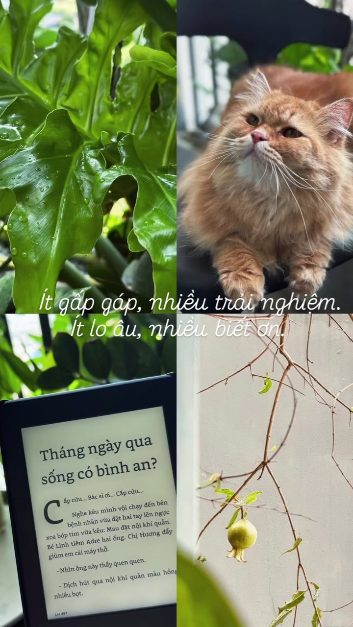 @Duy Nè đã chặn bạn
