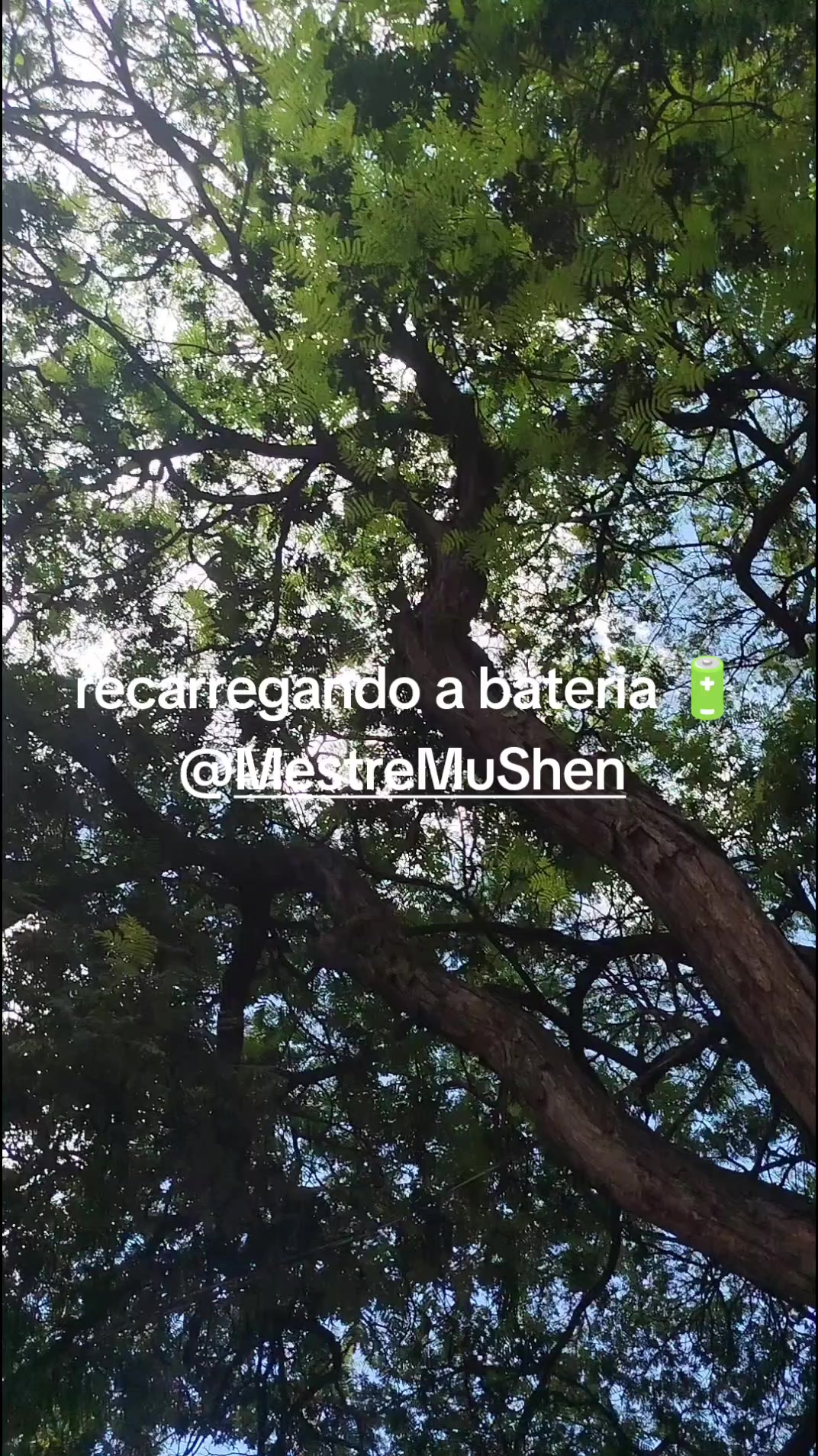 @Anal&uacute;cia