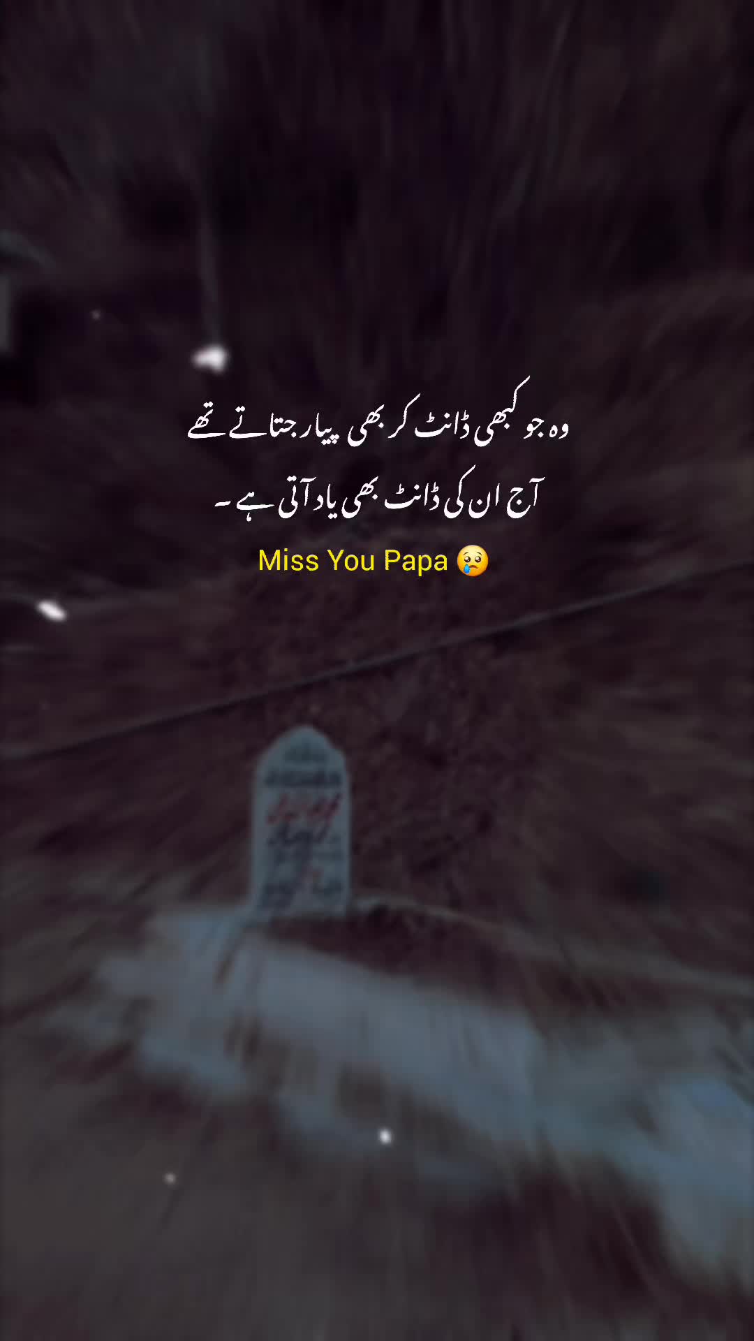 @Ubaid Abbasi ⚜️