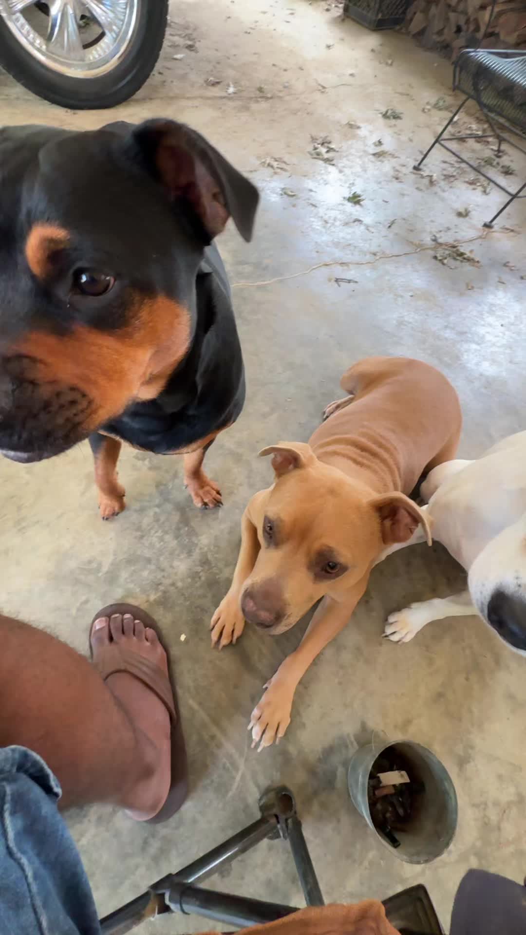 @TheHobsonSquad