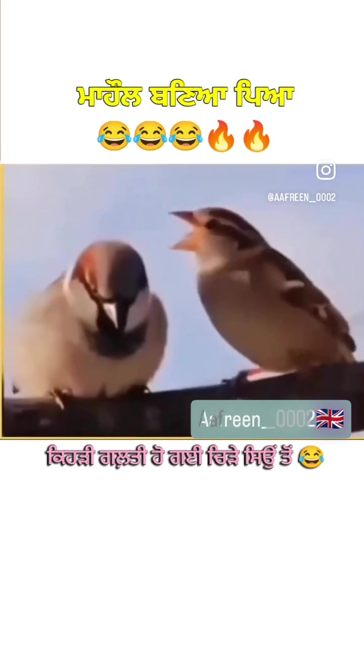 @ਮਿਨਹਾਸ ਰਾਜਪੂਤ