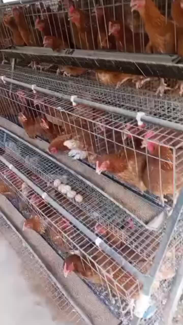 @Smart Farm Kenya