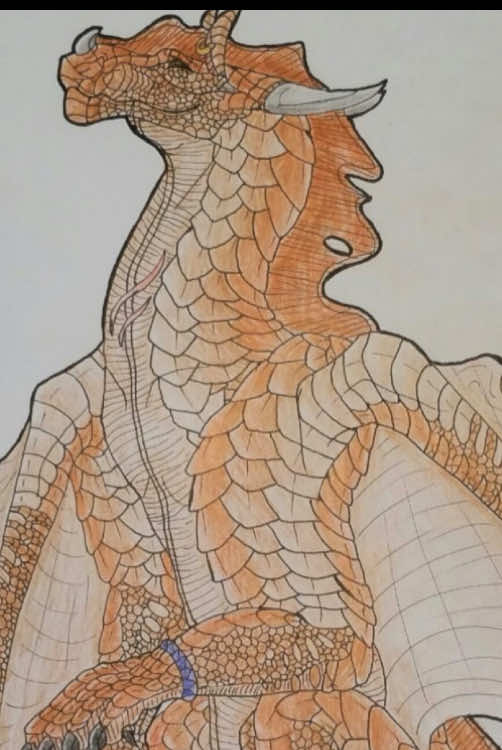 @🐲 ♿️ ren/artist 🏳️⚧️🇮🇪✡️