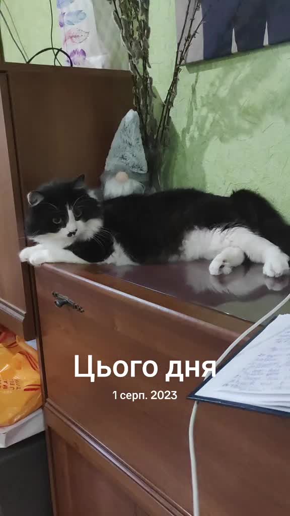@Олена Губа