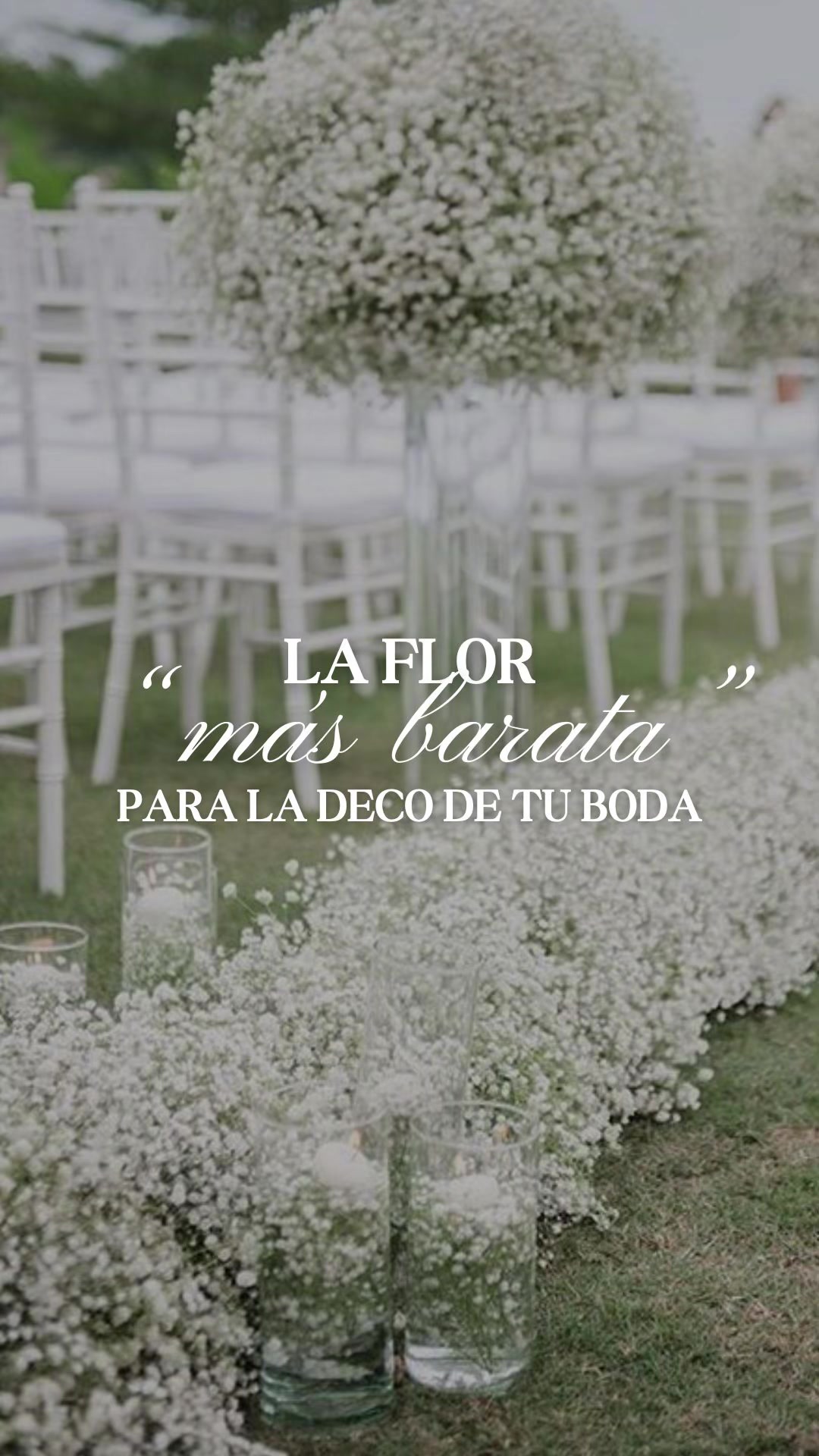 @vivantoeventplanner