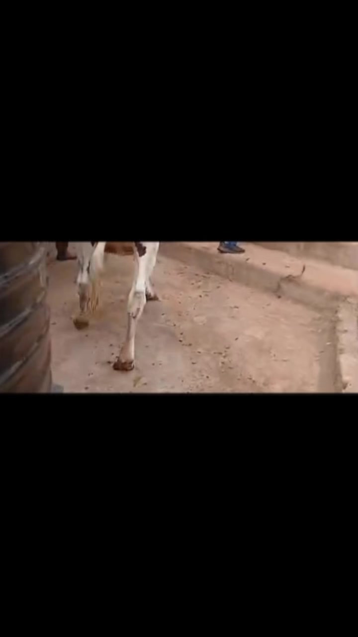 @Dennis Mukundi Wambui