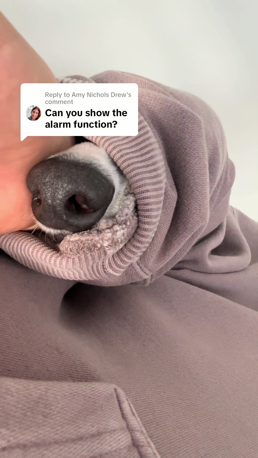 @Kayce Dog🤪🩷