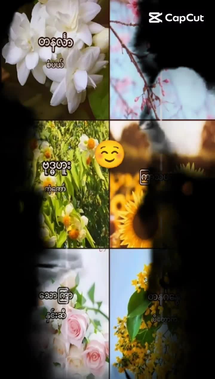 @ကိုထွန်မိန်မ