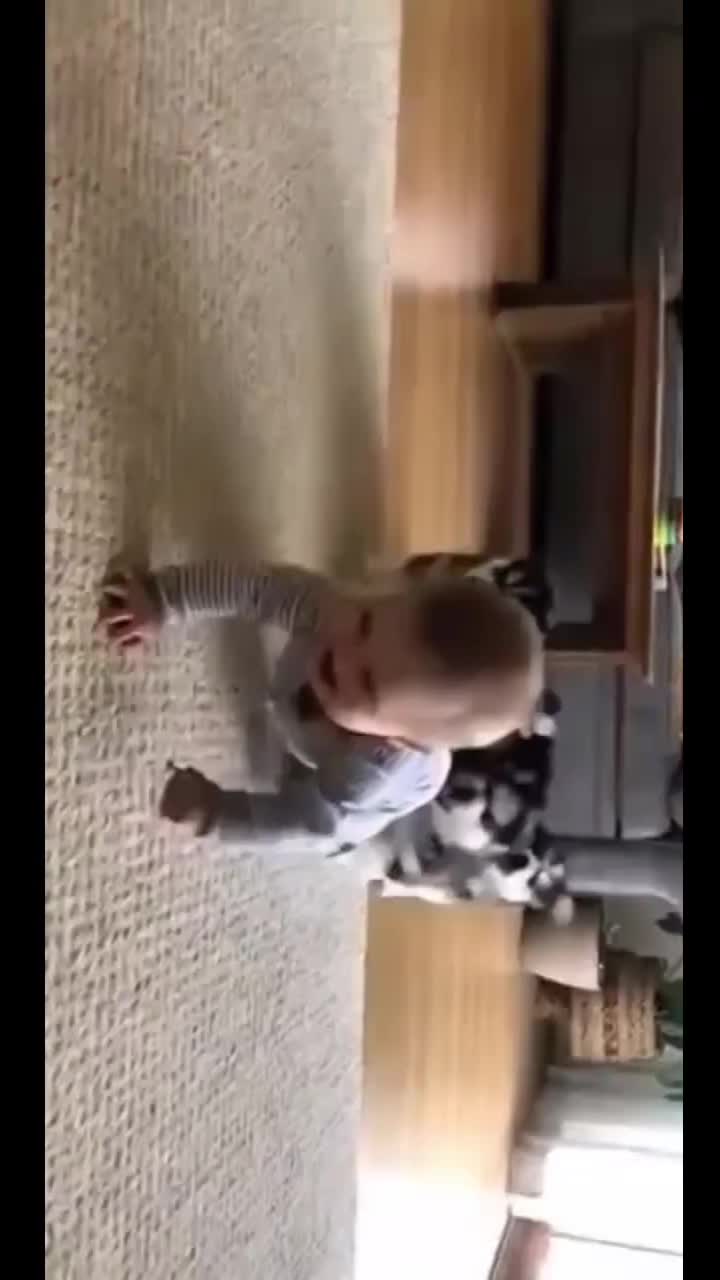 @wild_animal123