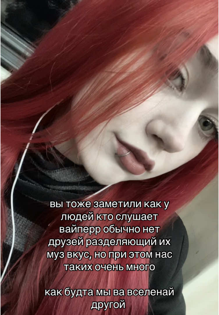 @vikallistoooo