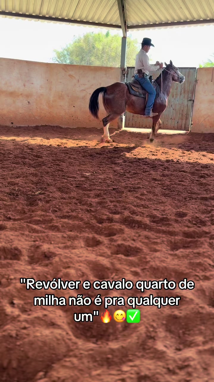 @mateusandrade9837