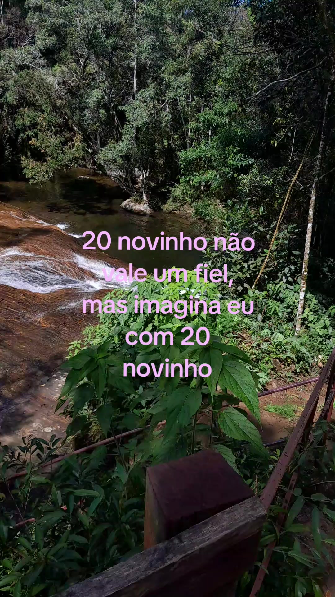 @⋆𝔏𝔲𝔫𝔶 ♱