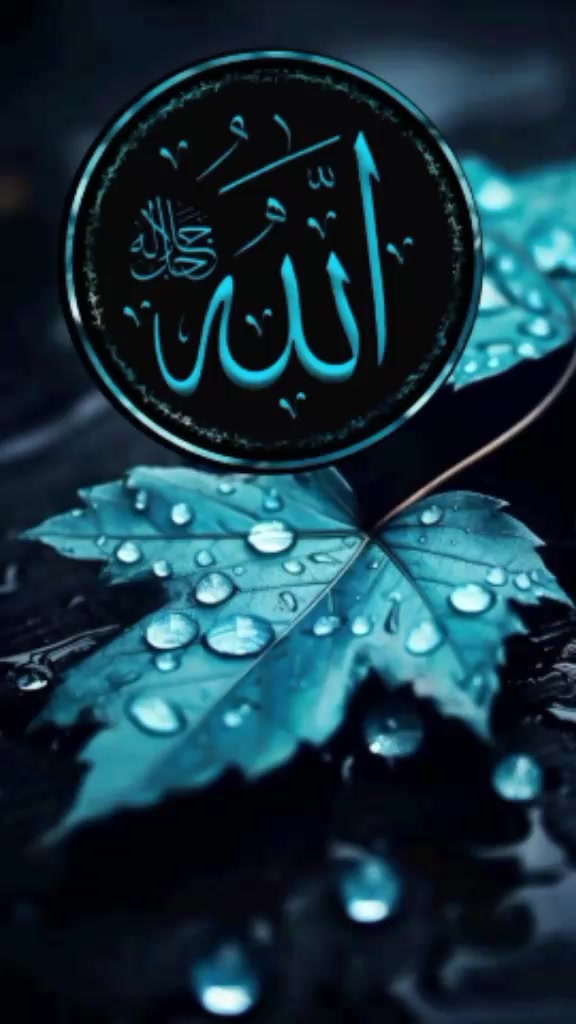@dildarlashri2
