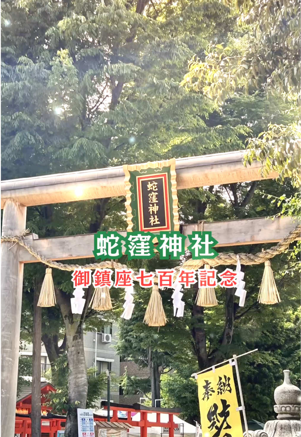 @hoshino_tarot