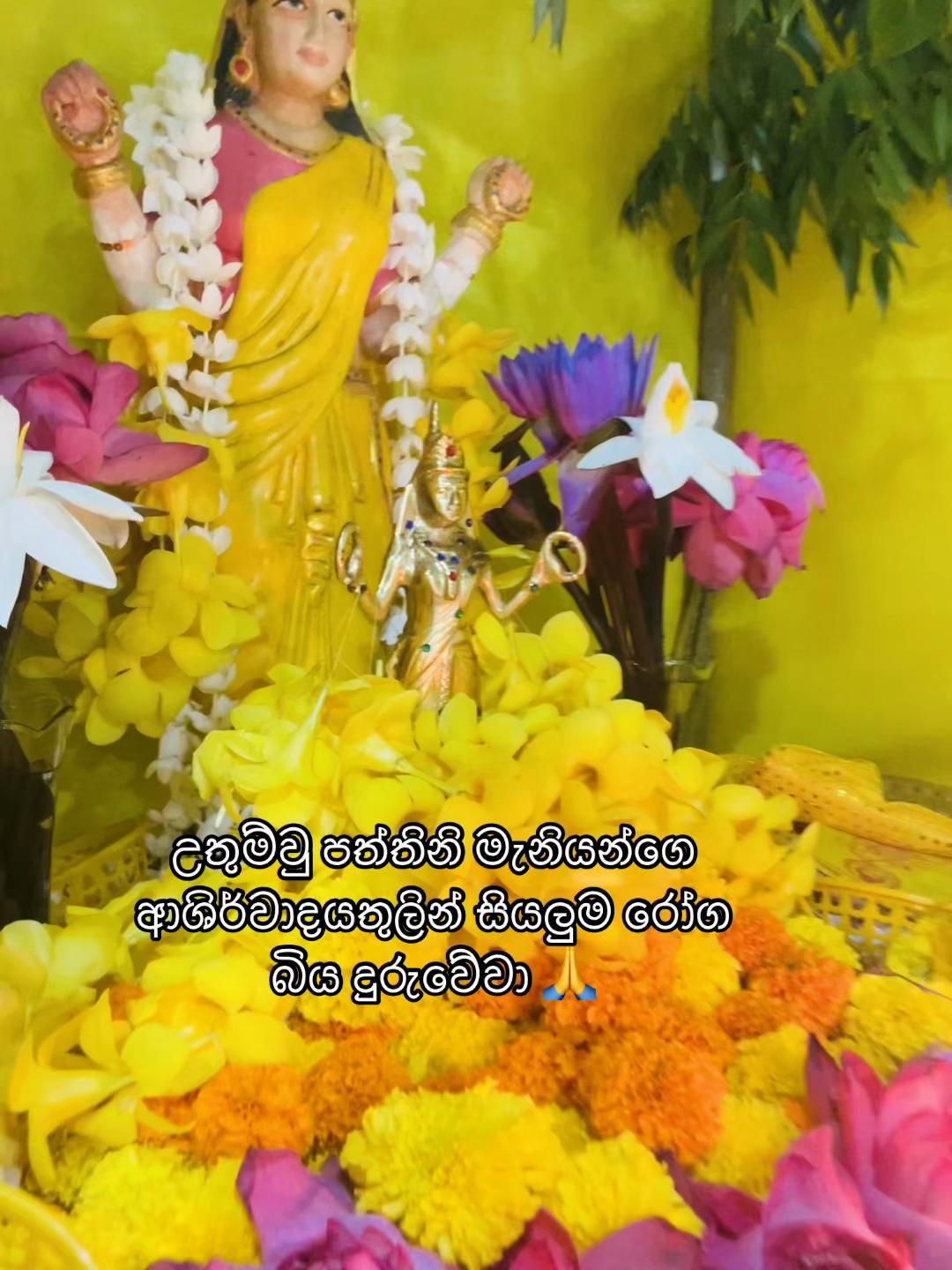 @🔱 kanchanawijesuriya 🔱
