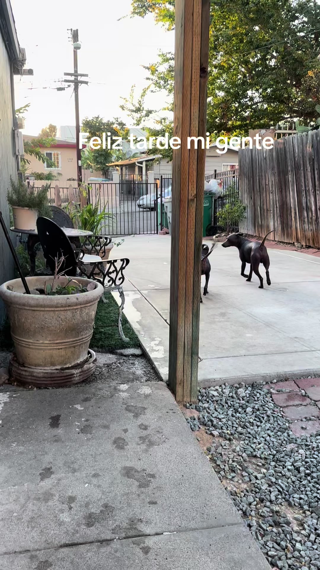 @Elcharitoopemex