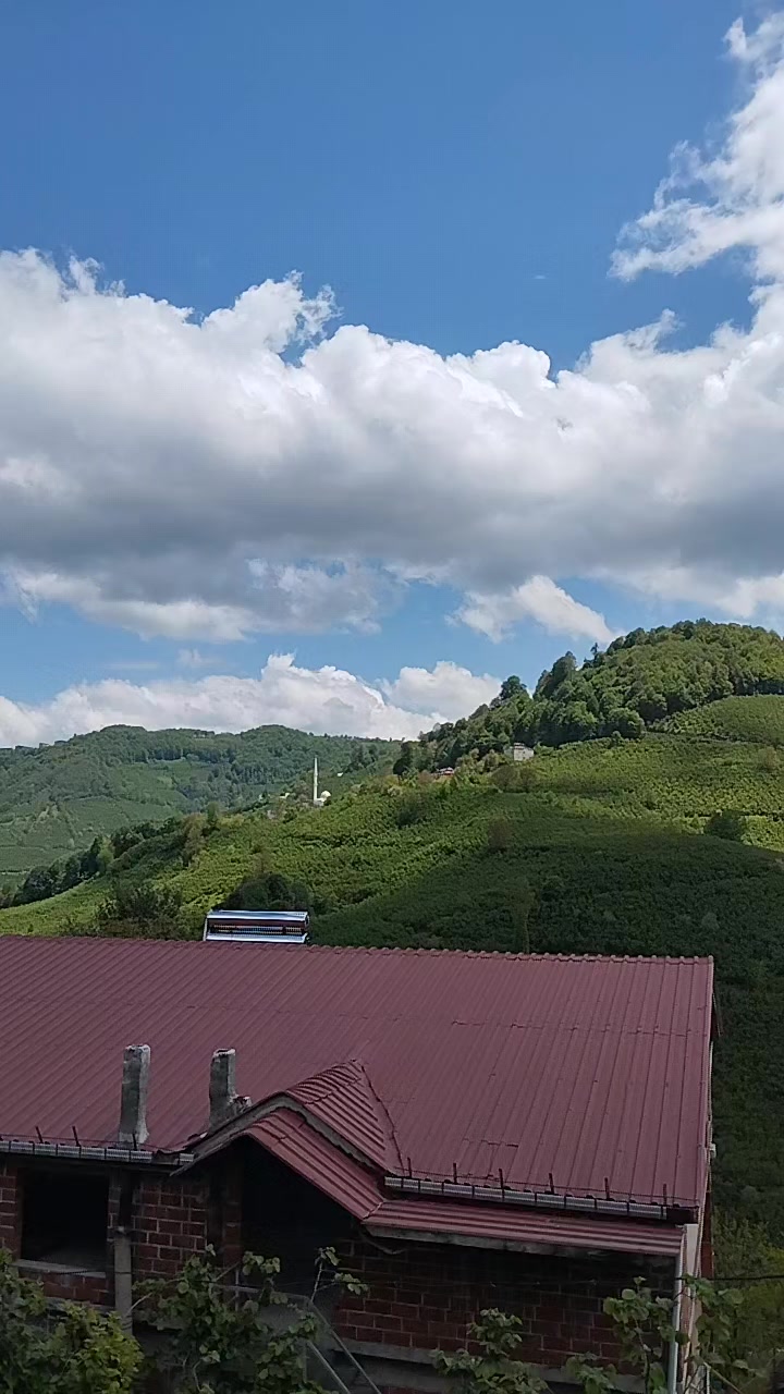 @YoNcA🍀🍀🍀