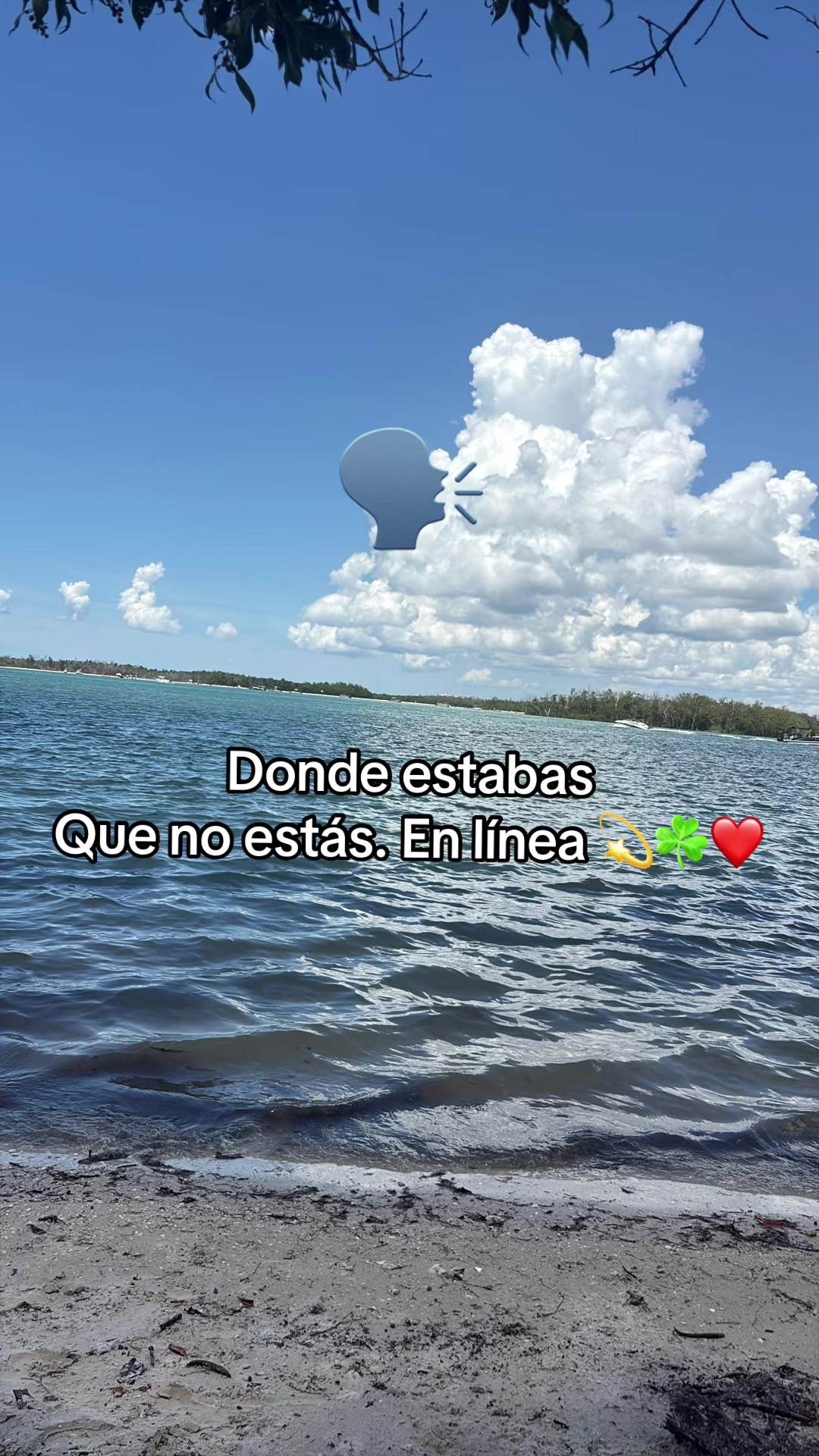 @Karol🦋🇭🇳🔐🫀☘️
