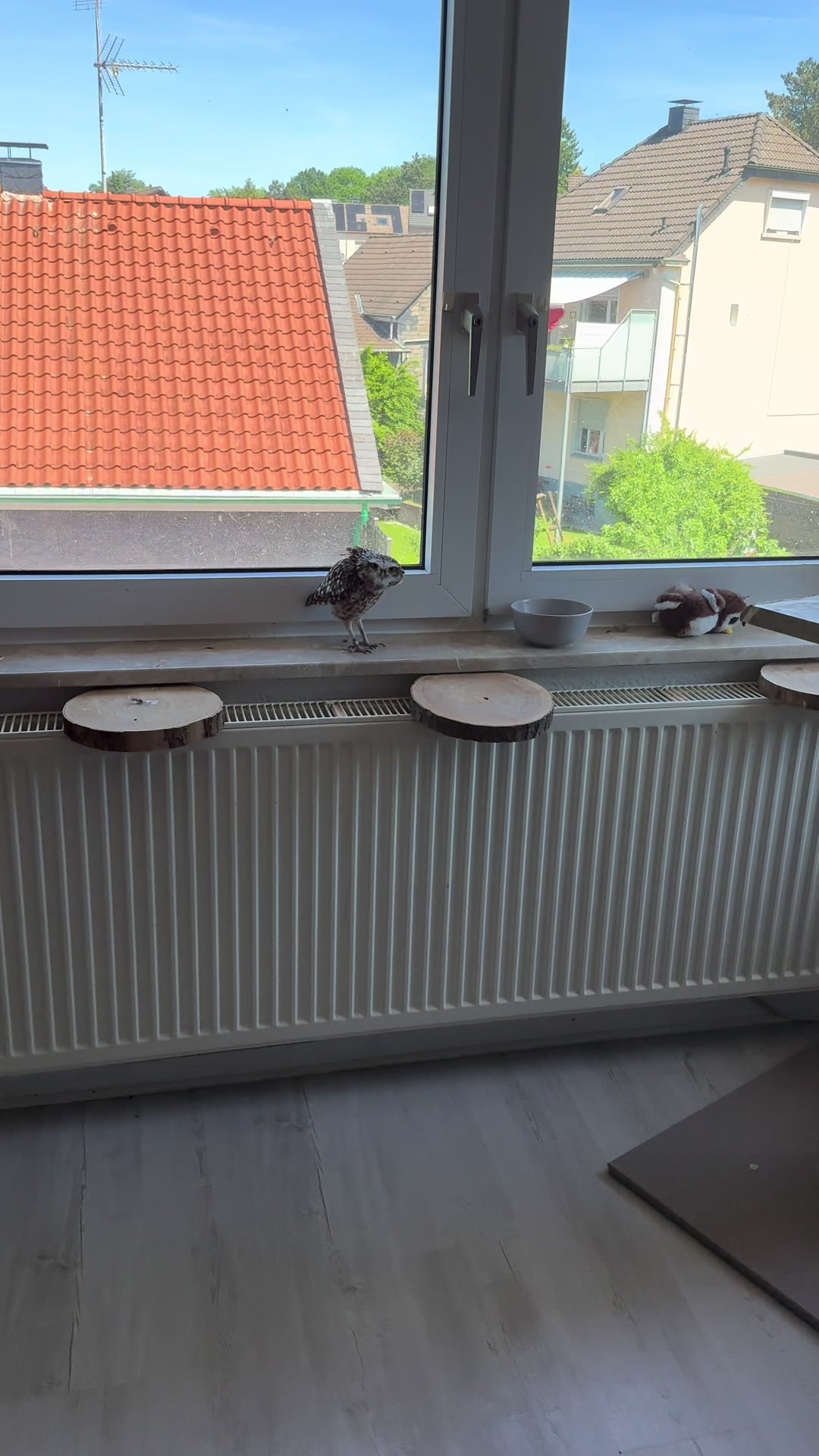 @Kreischhuhn Karma 🦉
