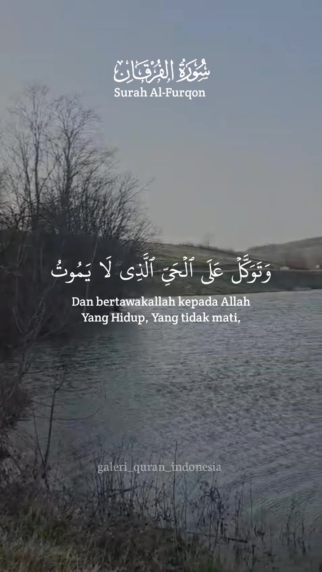 @LSL٭๛veysel