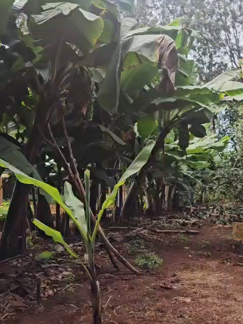 @FarmersTrend