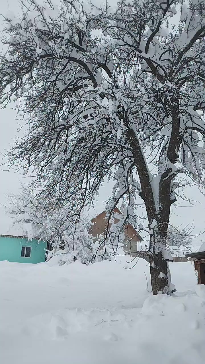 @ABDRASILOV NURJAN