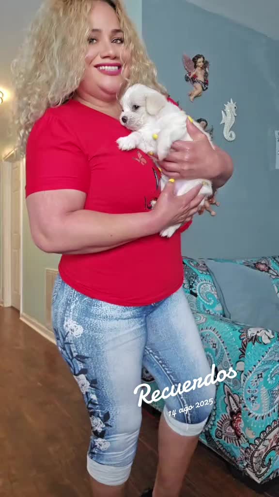 @meregilda torres molina