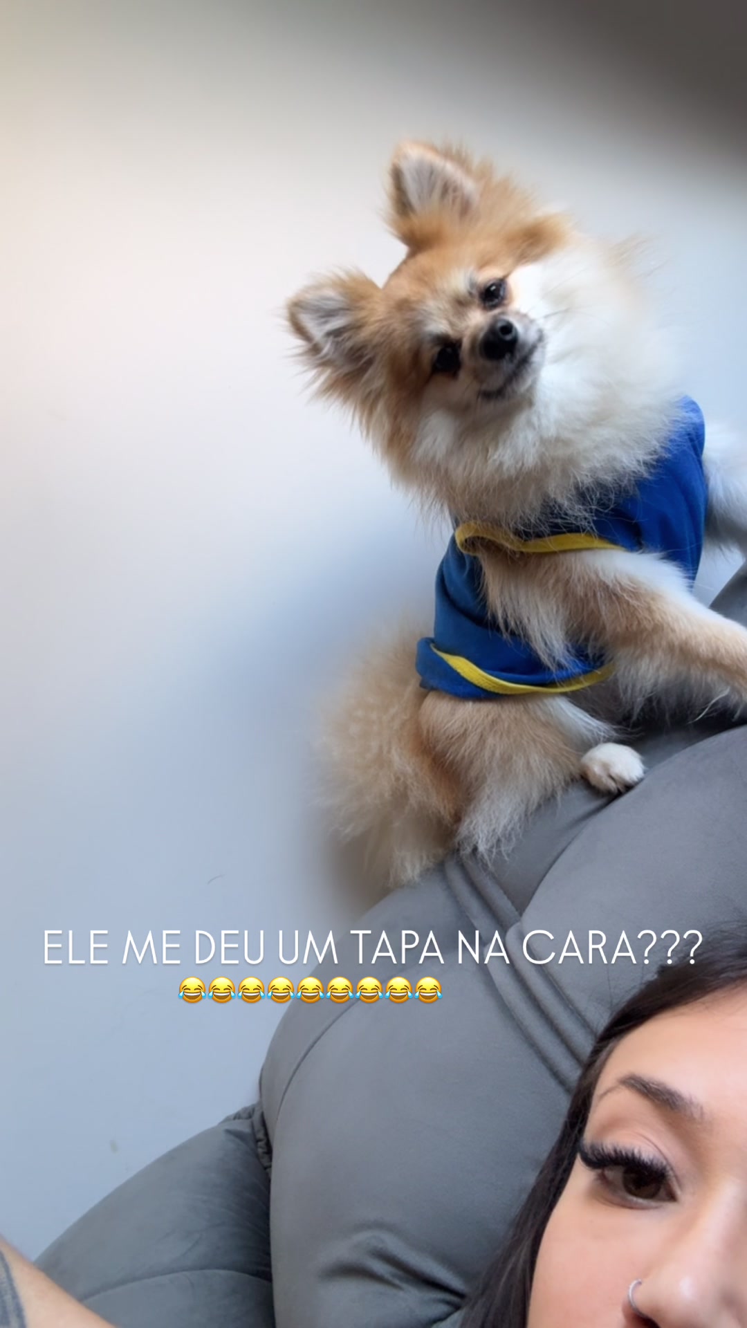 @Catarina Tavares