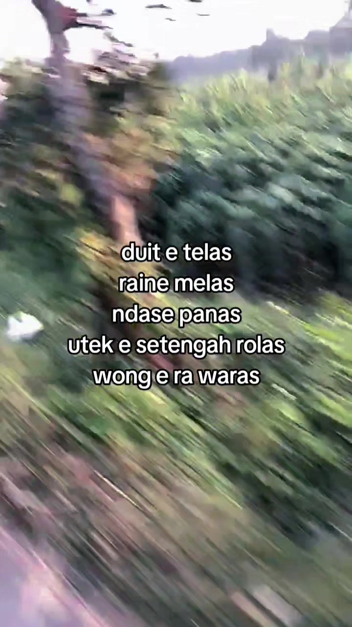 @D4nzz_