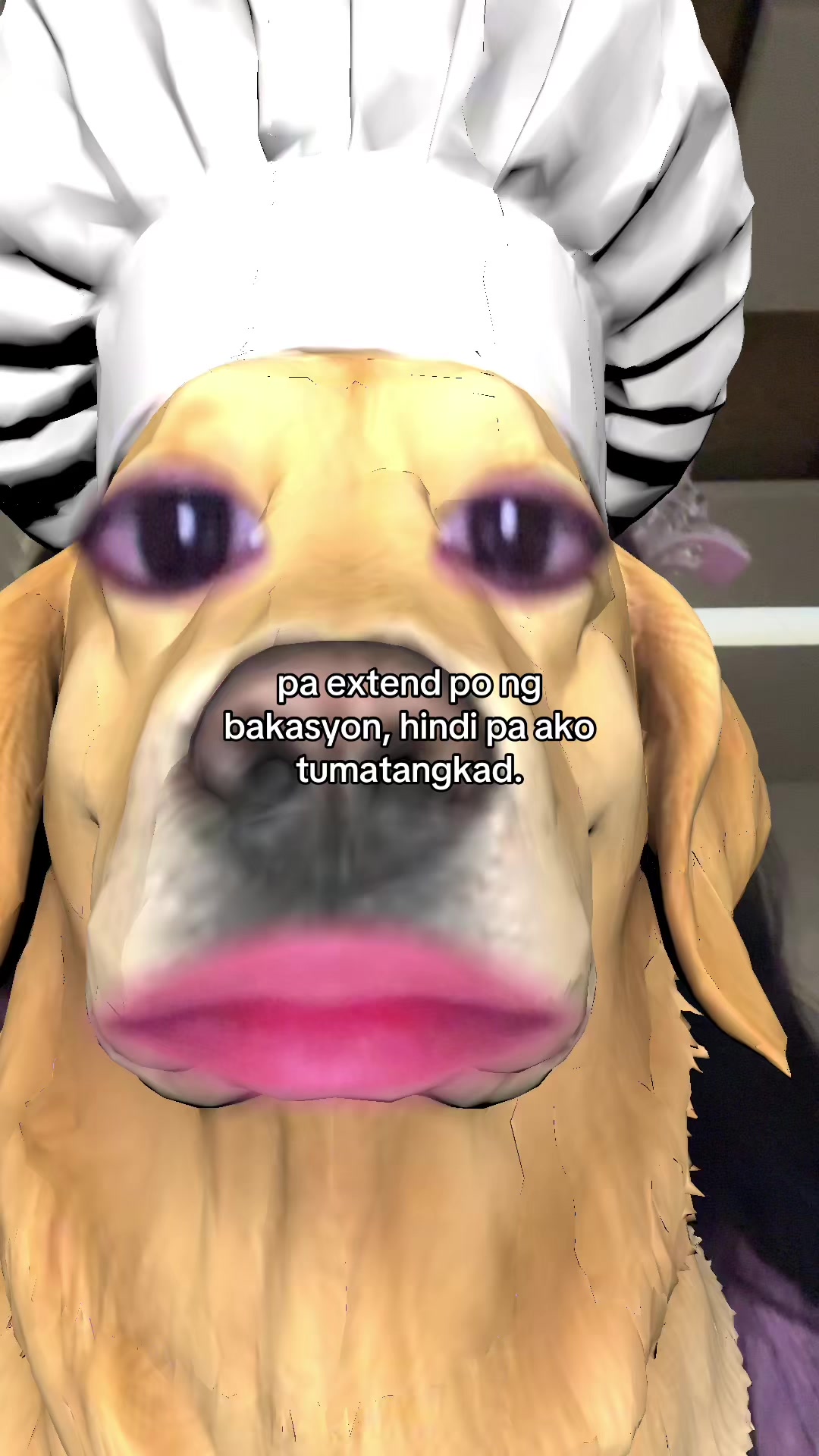 @🪳