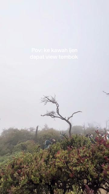 @FWS