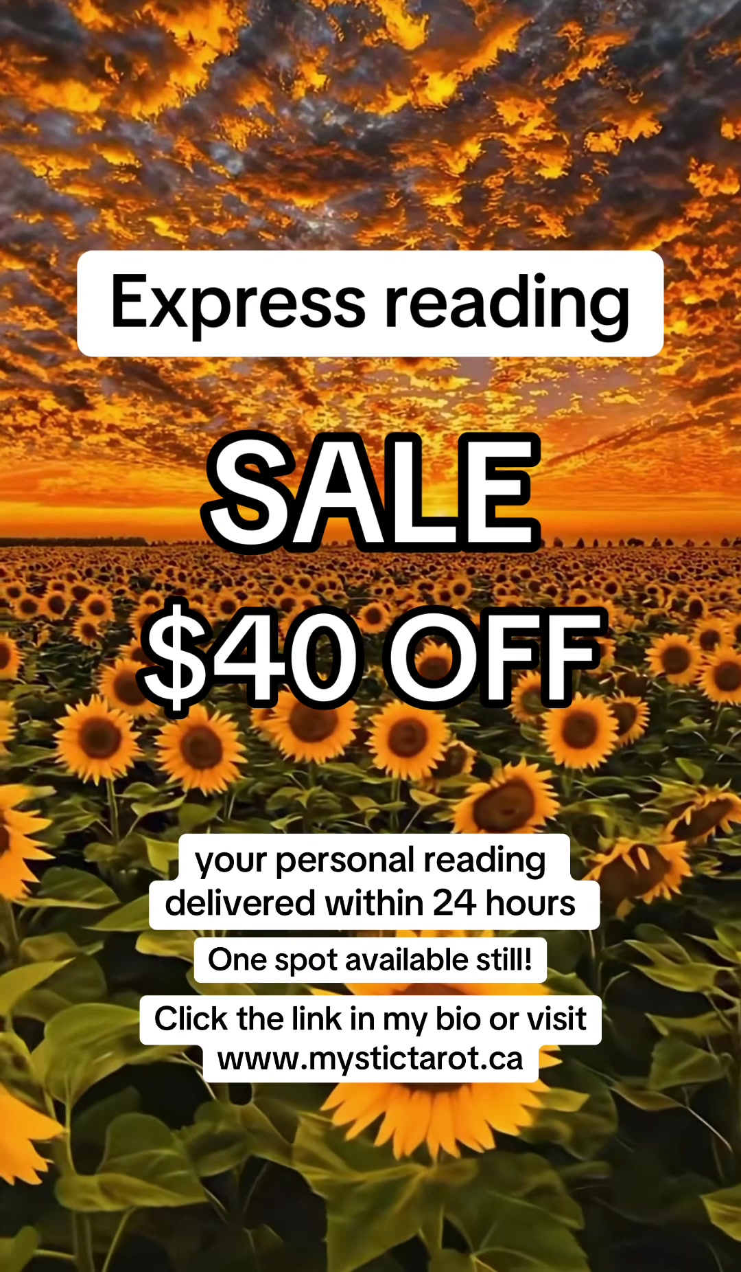 @Mystic Tarot