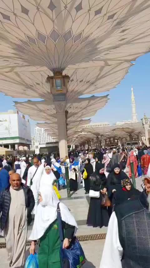 @ALLAH HO AKBER