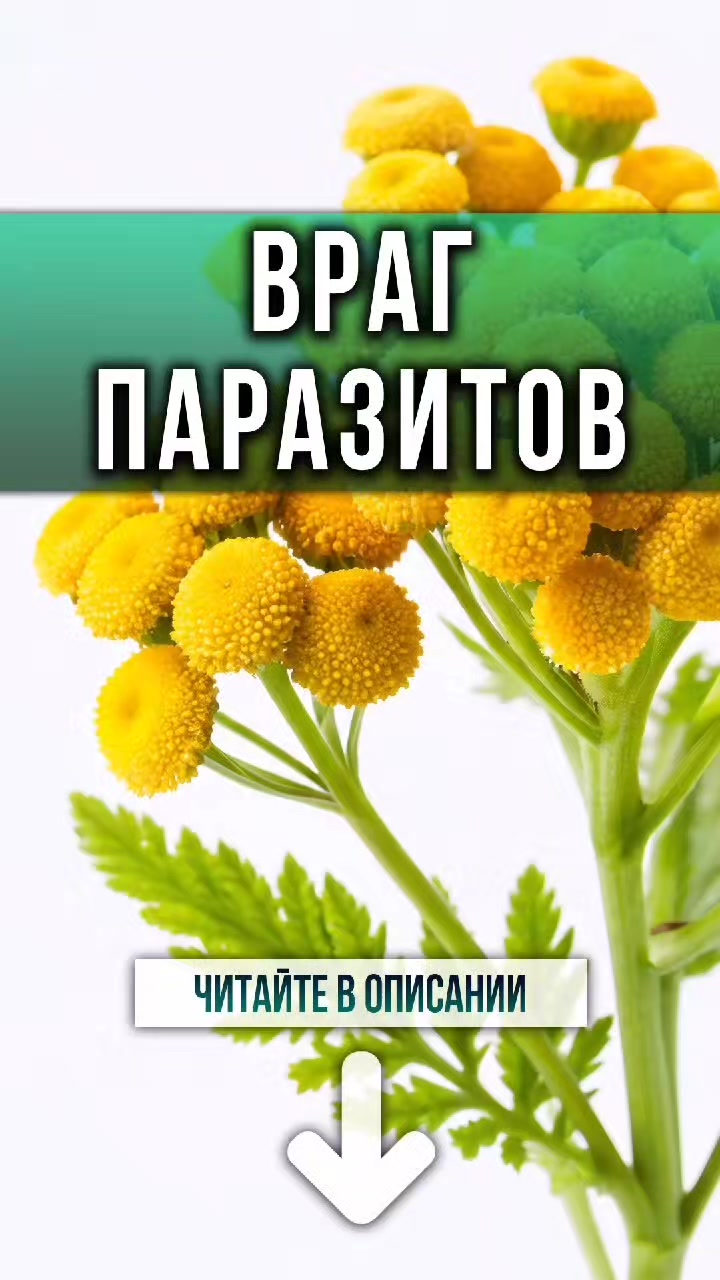 @ЗОЖнавигатор