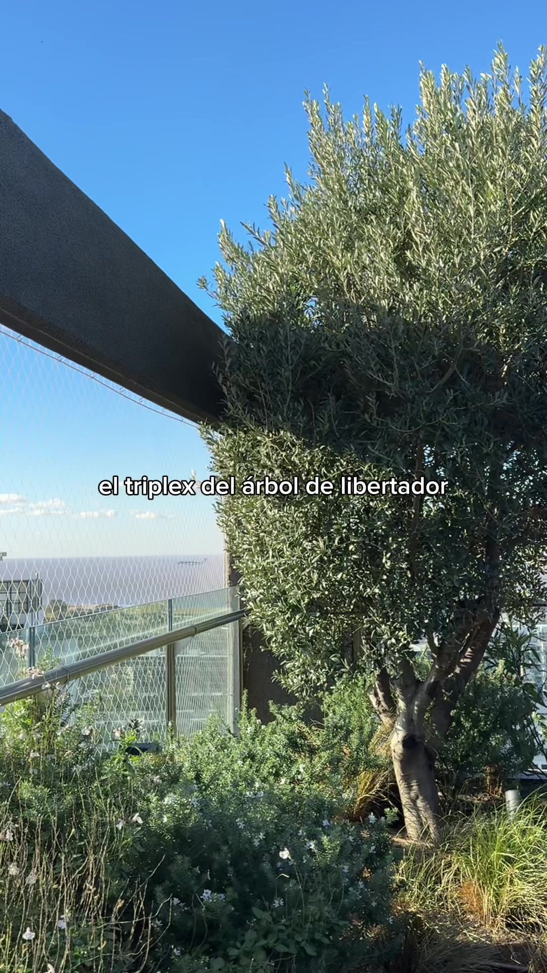 @joaquín