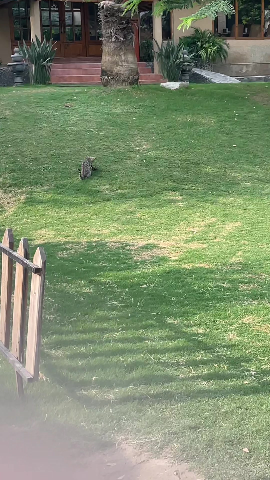 @𝑾𝒂𝒔𝒔𝒂𝒎 𝑨𝒘𝒂𝒏635