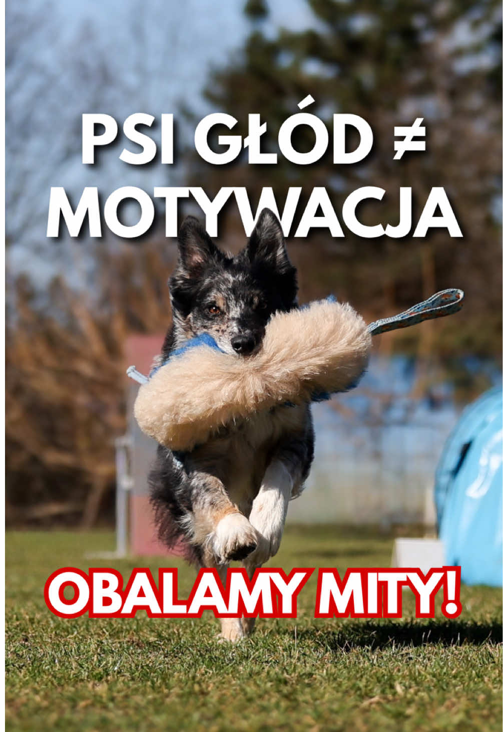 @Oliwia Kita