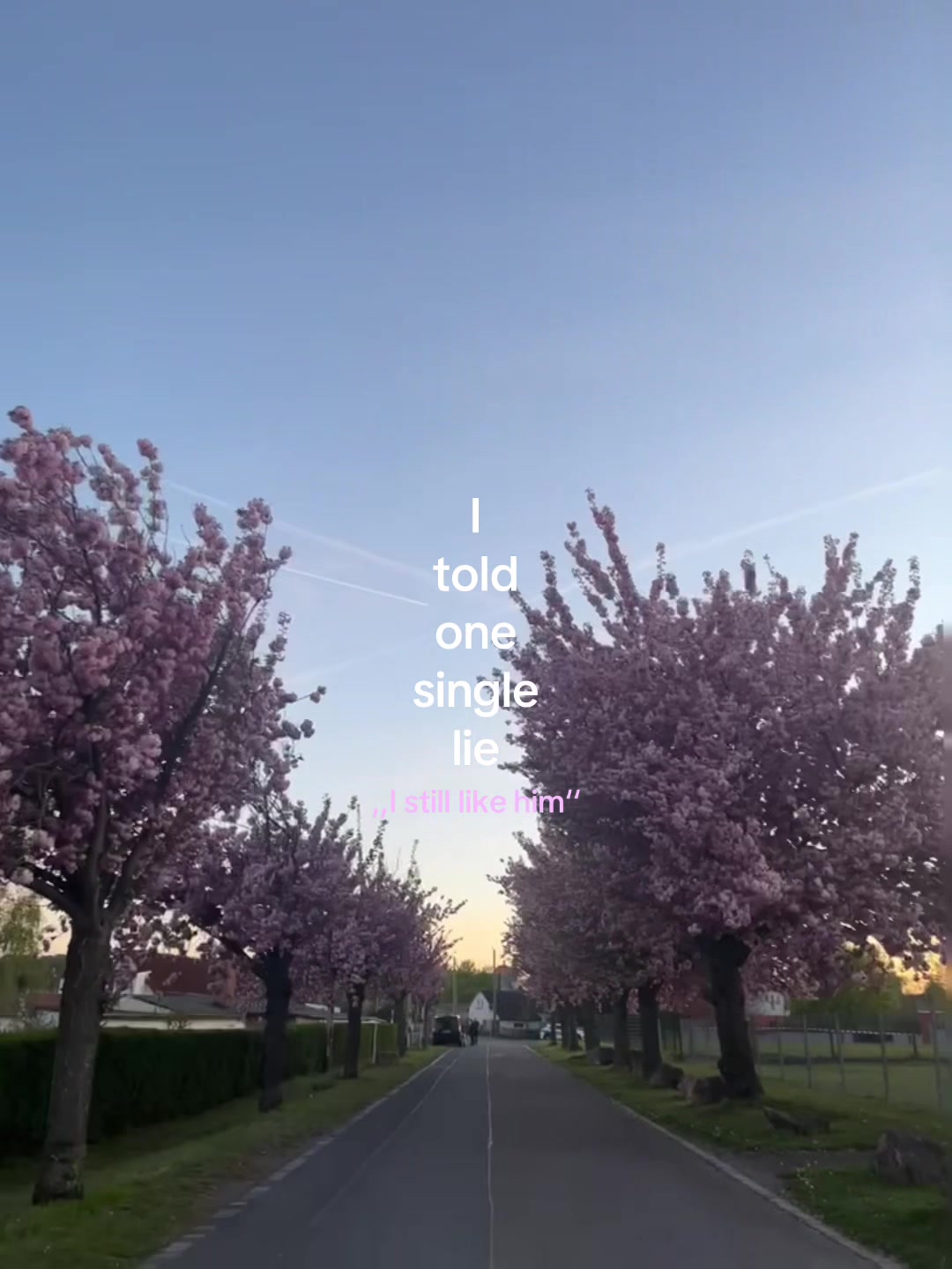 @J🌺